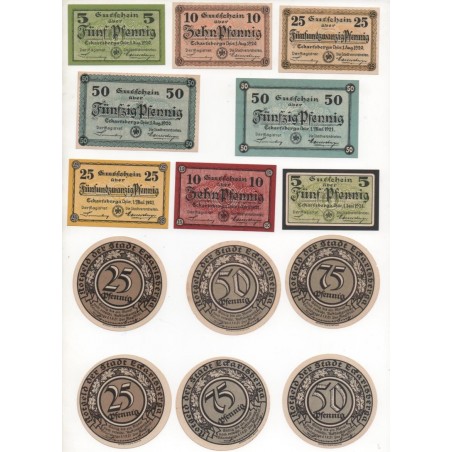 NOTGELD - ECKARTSBERGA - 20 different notes - 5 & 25 & 50 & 75 pfennig (E005)