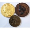 3 jolies médailles Agriculture, apprentissage du gard (bronze et doré)
