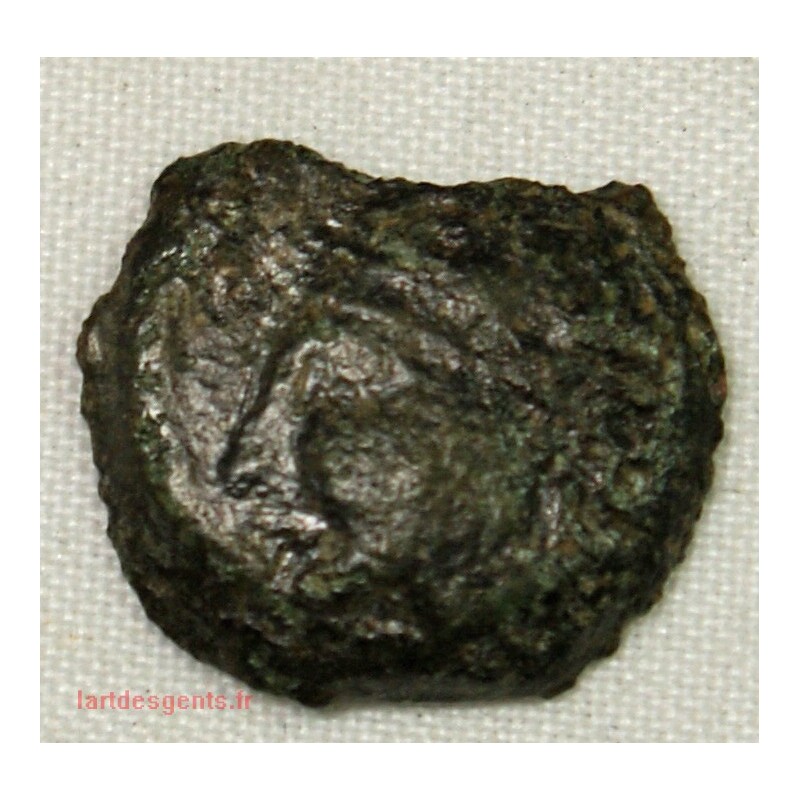 GAULOISE - Moyen bronze au taureau  tête à gauche