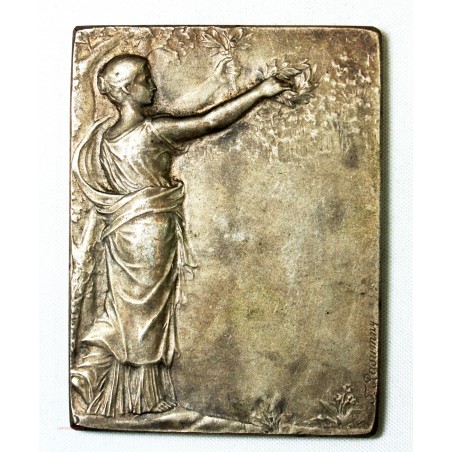 Médaille plaque  bronze argenté Attribué, par RASUMNY