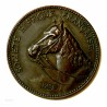Médaille Société Hippique Française - Examens D'équitation Paris 1899