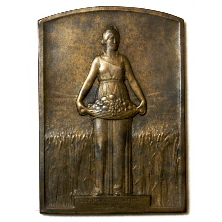 Médaille Plaque Bronze, Comptoir de l' Azote attribué
