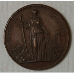 Médaille visite de Napoléon III à Lille en 1867 par J.C. Chaplain