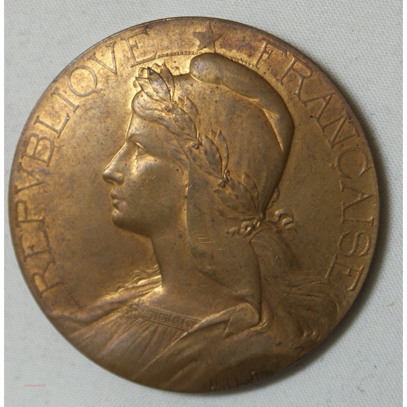 Médaille bronze dorée, Agriculte par Abel La Fleur 46mm