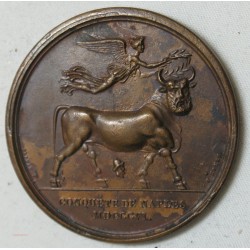 Médaille Bronze Napoléon Ier conquète de Naples