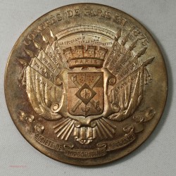 Médaille Congrès de Paris 1875, Topographie de France bronze 60grs