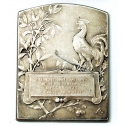 Médaille plaque 2e Congrès inter. assurances Paris Juin 1911d'après RUDE