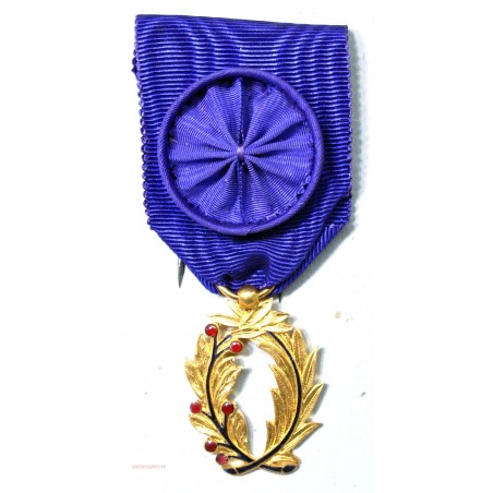 Médaille  palme académique superbe + rosette