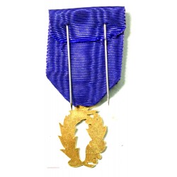 Médaille  palme académique superbe + rosette