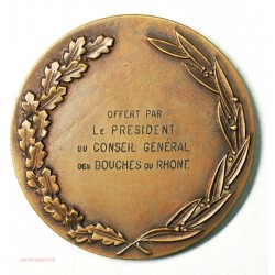 Médaille  de pétanque  (3 lartdesgents Avignon