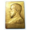 RARE Médaille plaque Charles Nicolas SEBLINE sénateur Aisne par ABEL LA FLEUR