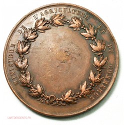 Médaille Exposition de VIENNE 1873 par CAQUE, lartdesgents