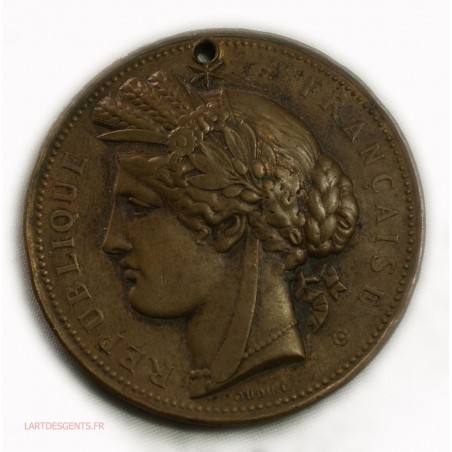 Médaille Exposition Universelle Paris 1878 Par Oudiné, A. Dubois