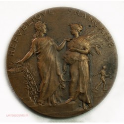 Médaille agriculture alphée DUBOIS, lartdesgents.fr