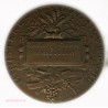 Médaille agriculture alphée DUBOIS, lartdesgents