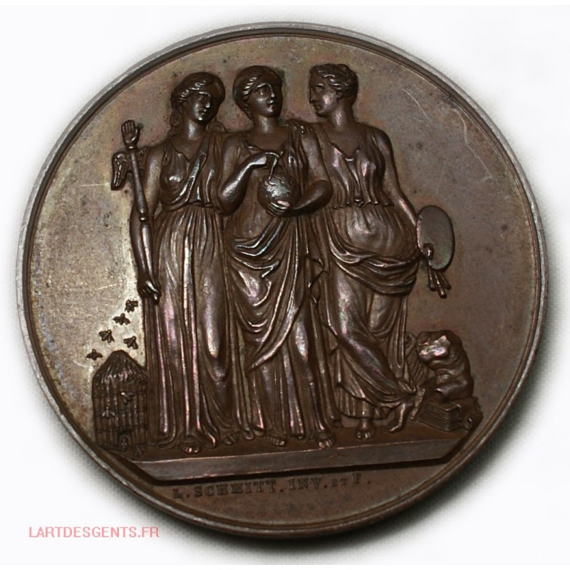 Médaille Congrès scientifique de France LYON 1841 par L. SCHMITT. INV. et F