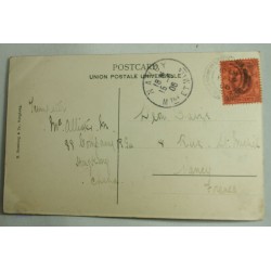 Postcard CHINA, CPA Greetings from Hongkong, Chow Chow on Hilside 1906