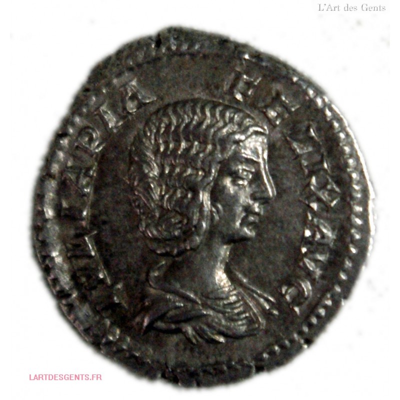 Denier Julia DOMNA Cybèle debout à gauche 212 AP. JC. Ric. 382