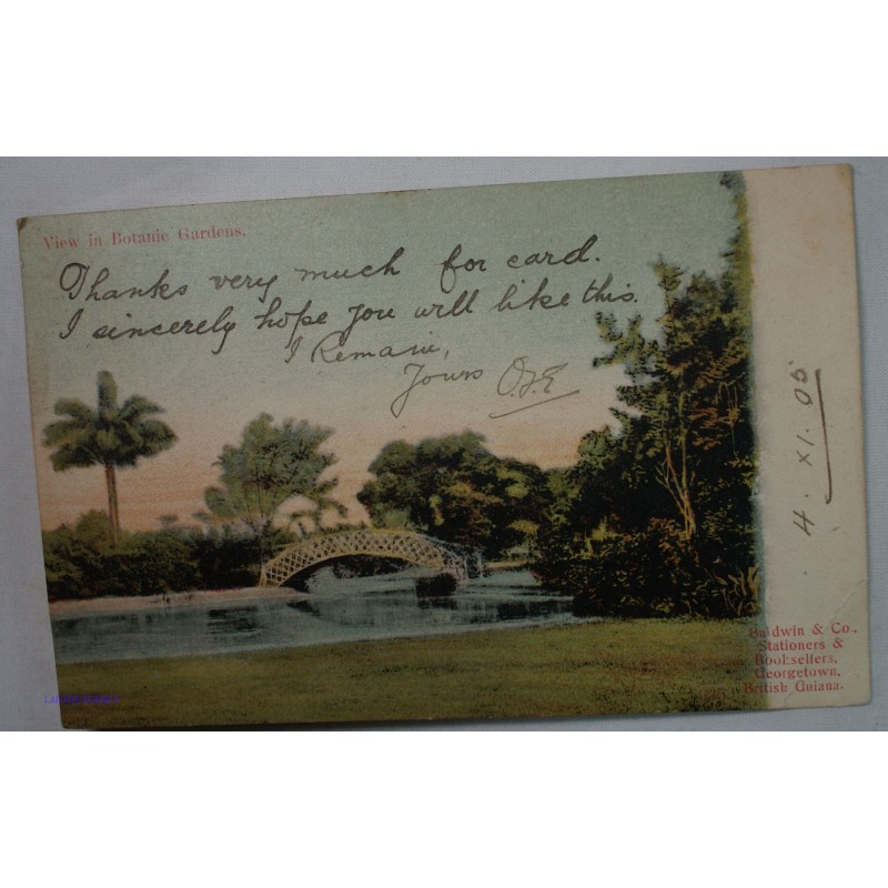 CPA British Guiana - Guyane Anglaise view in botanic Gardens 1905