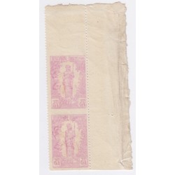 Congo colonie Française variété n°38 année1900-04 bord de feuille bande de 2 timbres lartdesgents.fr