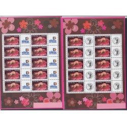 Lot de 2 Feuillets timbres personnalisés "C'est une fille" - 2005 - F3804A et F3804Aa  - Neufs** - lartdesgents.fr