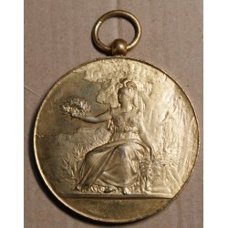 Médaille Acad. contemp. Beaux arts 1893 attribuées au Peintre Pétua, lartdesgents.fr