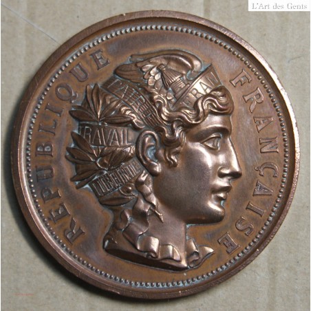 Médaille Exposition Industrielle et scolaire, Niort 1882 J.L. Pétua(8), lartdesgents.fr