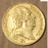 France LOUIS XVIII 20 Francs or 1817 A, lartdesgents.fr