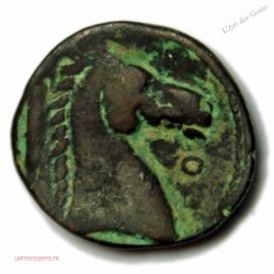 ZEUGITANE - CARTHAGE Shekel c. 300- 264 av J-C TTB ,R1 , lartdesgents.fr