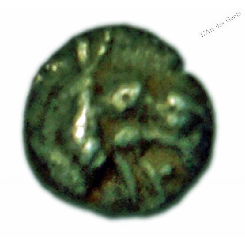 IONIE – IONIA – PHOCÉE – Hémitétartémorion   c. 550-500 av J-C TTB, R3,  lartdesgents.fr