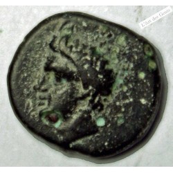 ROI DE LYCIE – PÉRICLÈS Tétrobole, c. 380-360 TTB, R2,  lartdesgents.fr