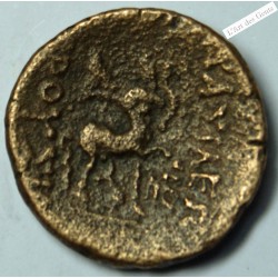 ROYAUME DE BITHYNIE – PRUSIAS II, Unité c. 180-150 av J-C TTB, R2,  lartdesgents.fr