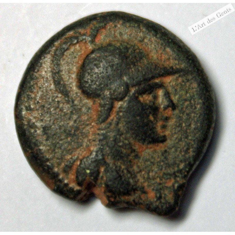 SYRIE - APAMÉE SUR L’ORONTE - Unité, c. 150-133 av J-C, TTB, R2,  lartdesgents.fr