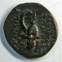 SYRIE – ROYAUME  SELEUCIDE – TRYPHON Chalque, c. 140 av J-C, TTB, R2, lartdesgents.fr