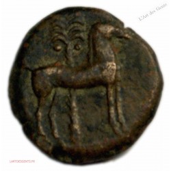 ZEUGITANE – CARTHAGE Unité c. 350-320 av J-C TTB R1 lartdesgents.fr