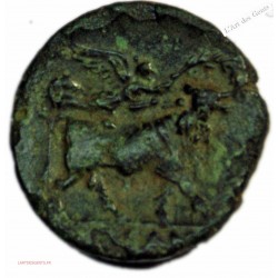 CAMPANIE – SUESSA AURUNCA - Litra c. 260-240 av J-C TB+ R1 lartdesgents.fr