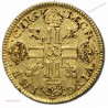 LOUIS D'OR 1644 A PARIS LOUIS XIV Mèche courte , lartdesgents.fr