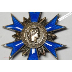 Ancienne médaille Française 1963 ORDRE NATIONAL DU MERITE émaillé  , lartdesgents.fr