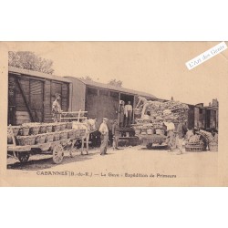 cpa 13 CABANNES - La Gave - Expéditions primeurs