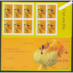 France Autoadhésifs - 2 carnets BC40 - Timbres pour Naissances Filles - 2004 - Neufs** - lartdesgents.fr