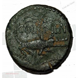 Dupondius de Nimes Agrippa barbu 27 Av JC. Col Nem (as) TTB, lartdesgents.fr