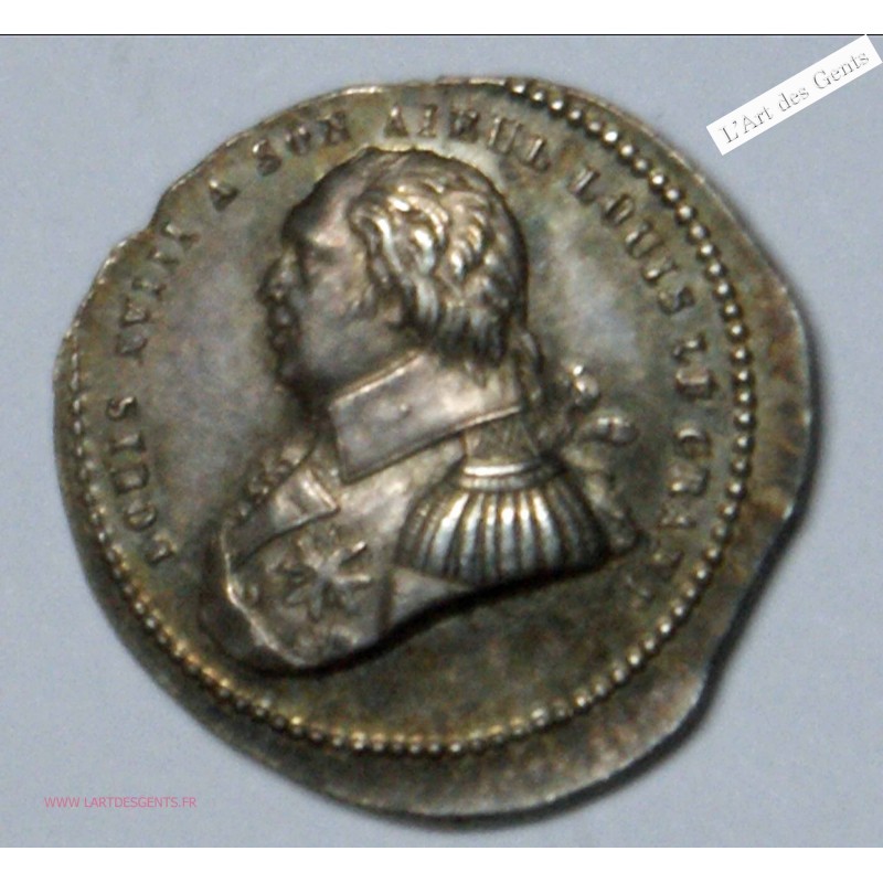 Médaille AR. Portrait Louis XIV/ Louis XVIII 1822 SUPERBE, lartdesgents.fr