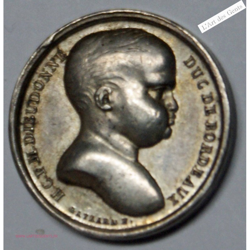 Médaille AR. Naissance de HENRI V SUPERBE, lartdesgents.fr