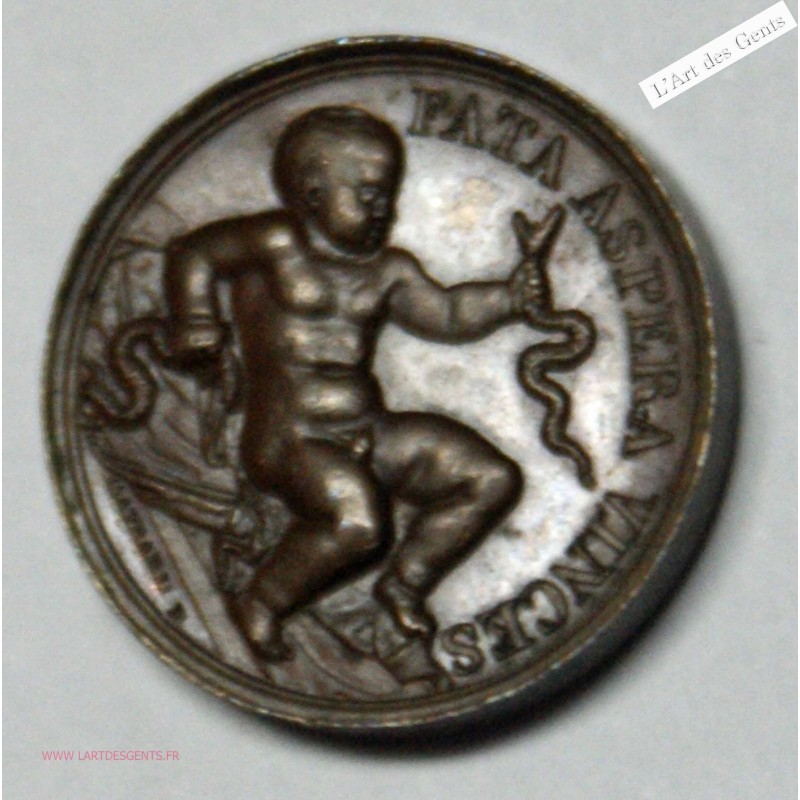 Médaille Br. HENRI V, Naissance du duc de Bordeaux SUPERBE, lartdesgents.fr