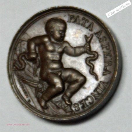 Médaille Br. HENRI V, Naissance du duc de Bordeaux SUPERBE, lartdesgents.fr