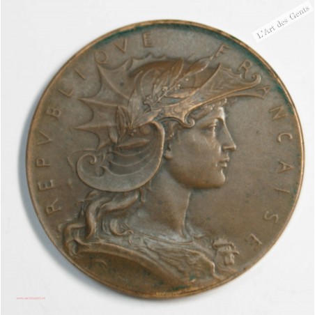 Médaille, Elections législatives GUYOT de Villeneuve 1902, lartdesgents.fr