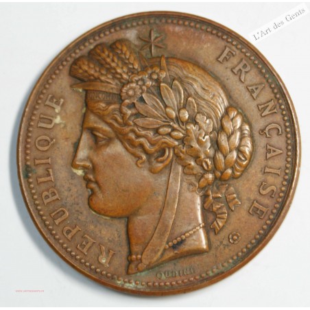 Médaille Exposition Universelle Paris 1878 Par Oudiné, A. Dubois