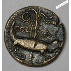 Dupondius de Nimes, Auguste et Agrippa type4  -  lartdesgents.fr