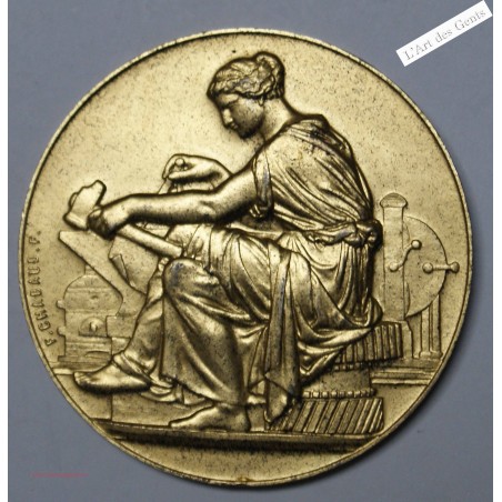 Médaille Argent, MINISTERE TRAVAIL SYND. PROF. VAUCLUSE 1972-  lartdesgents.fr