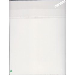 Affiche AFF98A "AVION SURVOLANT PARIS" 2025 - sous blister - Neuf** lartdesgents.fr